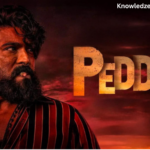 Peddi